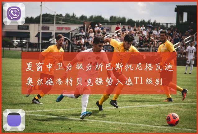 夏窗中卫分级分析巴斯托尼格瓦迪奥尔施洛特贝克强势入选T1级别